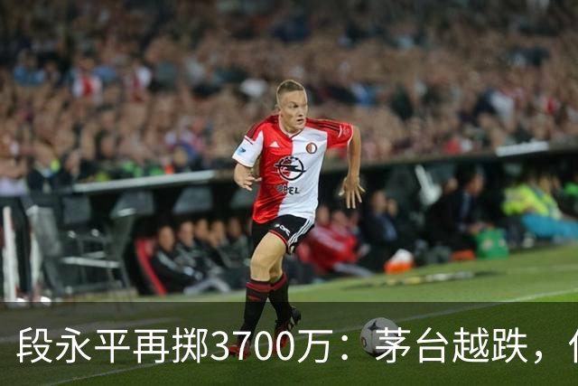 段永平再掷3700万：茅台越跌，他越买？