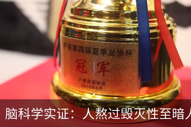 脑科学实证：人熬过毁灭性至暗人生绝境，最先苏醒的从来不是心态与韧劲，而是脑边缘皮层中，长久封存的原始人性“感知枢纽”